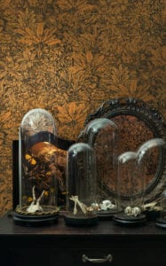 Cabinet -- Sauvage - Imagen 2