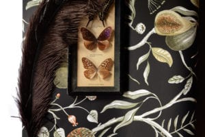 Cabinet -- Papaya - Imagen 4