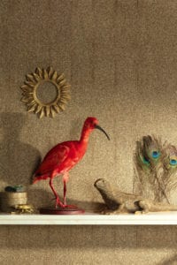 Cabinet -- Iguana - Imagen 2