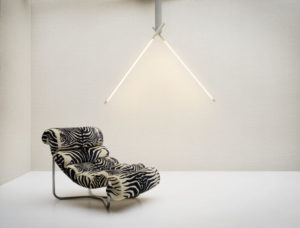 Curiosa -- Puro - Imagen 2