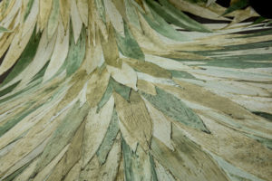 Selva -- Abanico - Imagen 3