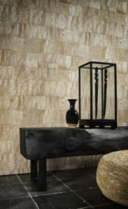 Selva -- Capas - Imagen 4
