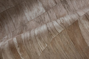 Selva -- Capas - Imagen 5