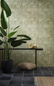 Selva -- Capas - Imagen 3