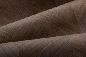 Selva -- Corteza - Imagen 4
