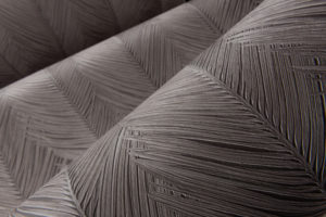 Selva -- Itaya - Imagen 4