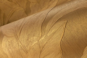 Selva -- Musa - Imagen 4