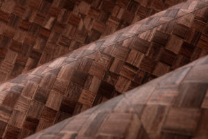 Selva -- Pandan - Imagen 3