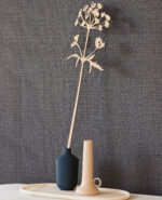 Canvas -- Canvas - Imagen 5