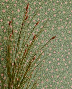 Posy -- Posy - Imagen 4