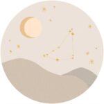 Explore -- Explore