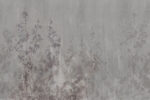 Glamora -- Oreadi - Imagen 2