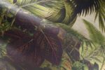 Essentials les Naturels -- Reverie Tropicale - Imagen 4