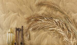 Gilded -- Licuala - Imagen 4