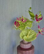 Magnifique -- Lustre - Imagen 3